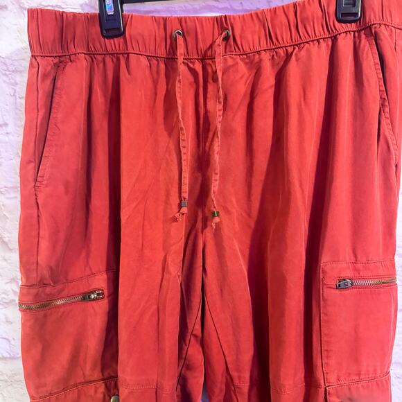 Banana Republic Burnt Orange Lightweight SZ L Joggers - Picture 2 of 8